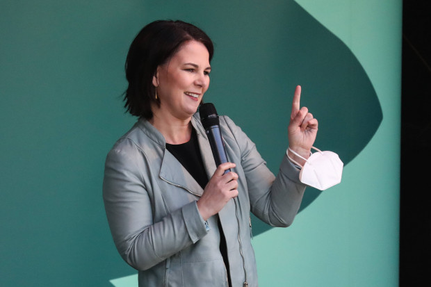 Baerbock und die Borkenkäfer von Sachsen-Anhalt