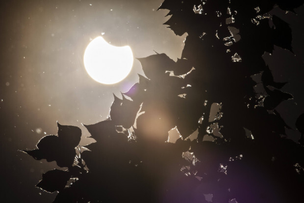 Ein himmliches Ereignis, das nicht zu grünen Märchen passt