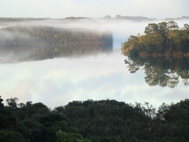 New Zealand’s Splendid Isolation – Der Kiwi ist aufgewacht 