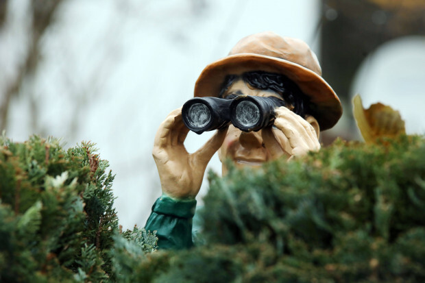 Willkommen in der „DRD“, der Denunzianten-Republik Deutschland