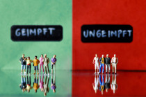 Bleiben Sie vernünftig in der Zeit zunehmenden Irrsinns