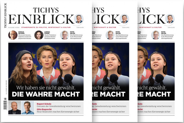 Tichys Einblick 11-2021: Die wahre Macht