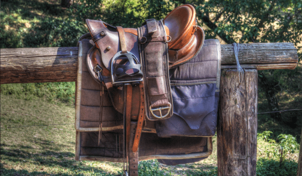 Corona-Satire: Wenn dein Pferd tot ist, sattle auf!