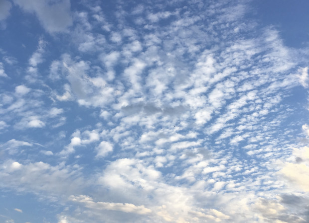 „Klima-Leugner“ treffen sich – Grüne demonstrieren