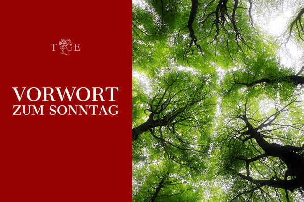 Die Glanzleistung unserer Eltern und Großeltern im Umweltschutz