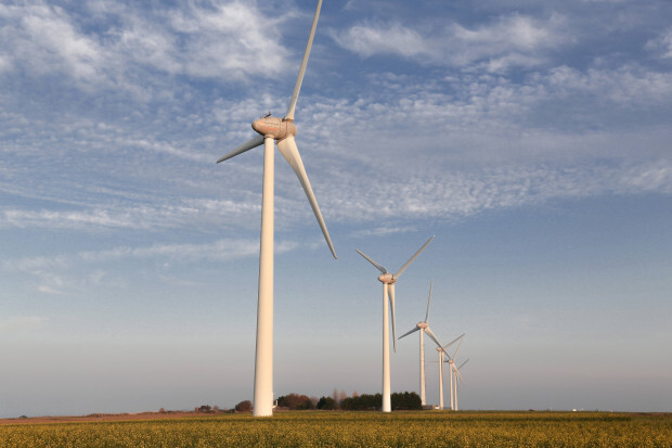 Bahnbrechendes Urteil in Frankreich: Windräder gefährden die Gesundheit