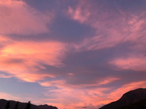 „Krieg gegen das Coronavirus“ und „Bekämpfung des Klimawandels“