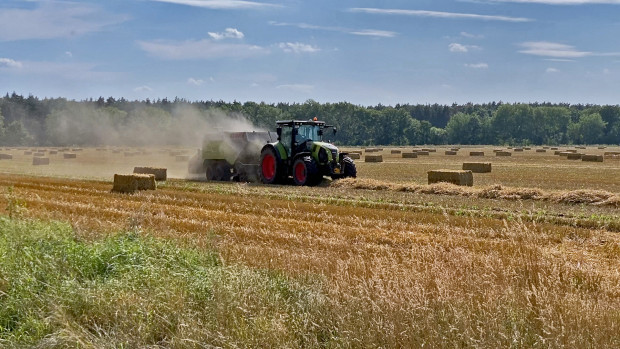 Wie grüne Landwirtschaftspolitik den Hunger in der Welt vorantreibt