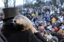 Weihnachtsfernsehprogramm: Murmeltier-Eintopf zum Fest