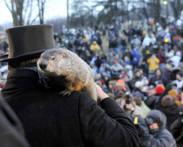 Weihnachtsfernsehprogramm: Murmeltier-Eintopf zum Fest