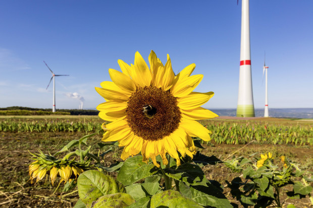 Macron erwartet die deutsche Kapitulation in Sachen Kernkraft