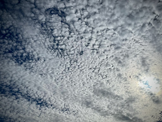 Wie viel Heimat braucht der Mensch?