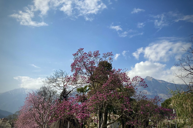 Vom Versagen des Westens und seiner Demokratie