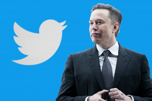 Linke Twitter-Blase fürchtet Musk und die Meinungsfreiheit