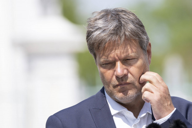 Robert Habeck, der Schweinswal und die DUH-Klage gegen das LNG-Terminal