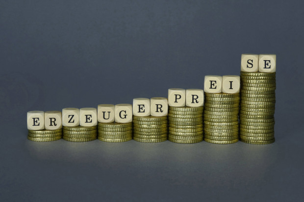 Rekordanstieg der Erzeugerpreise: Erdgas für Kraftwerke viermal so teuer wie 2021