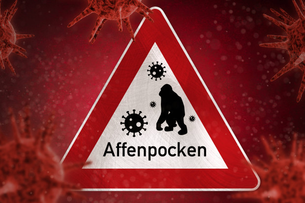 Pockengefahr – Die große Affentransformation