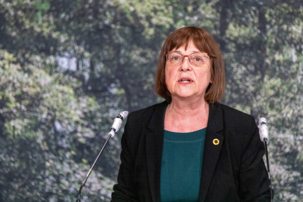 Der Krieg, das Klima und die Grünen