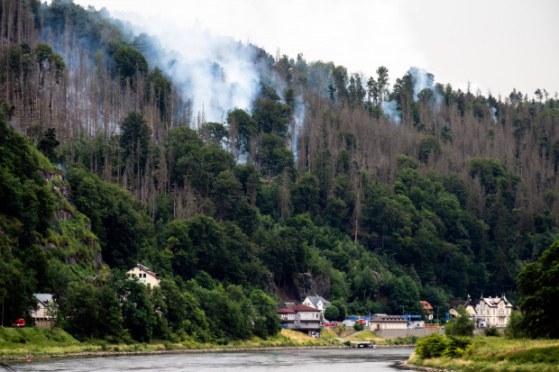 Waldbrandkatastrophe in der Sächsischen Schweiz: Und sie sind Helden