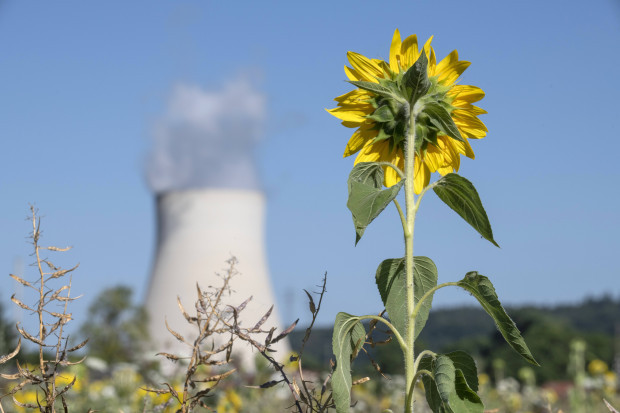 Die Grünen stellen sich ihr eigenes Gutachten gegen den Weiterbetrieb der Atomkraft aus