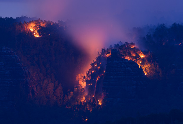 Grünen-Politiker: „Vielleicht sollte man Sachsen einfach kontrolliert abbrennen lassen“