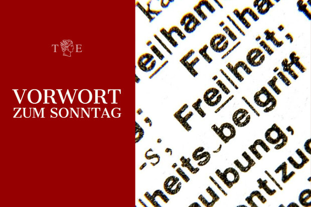 Fünf Schneisen im Dschungel des Freiheitsbegriffs