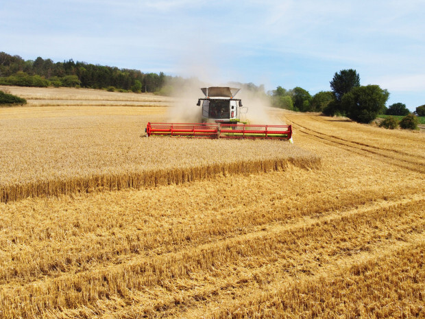 Das Großunternehmen Ernte ist fast abgeschlossen – noch einmal mit gutem Ertrag