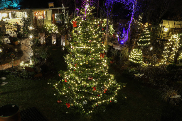 Die Abscheu der Grünen gegen das Weihnachtsfest
