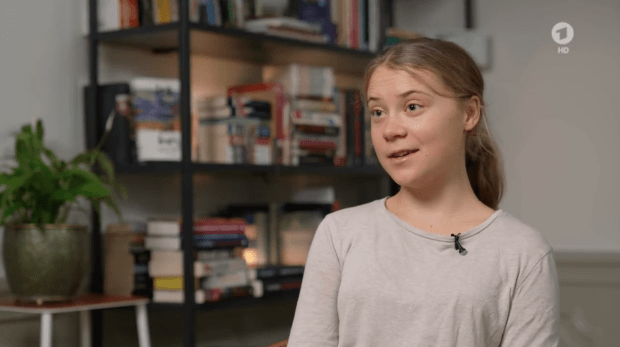 Greta Thunberg gibt der Kernkraft ihren Segen
