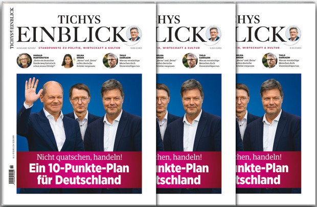 Tichys Einblick 11-2022: Ein 10-Punkte-Plan für Deutschland