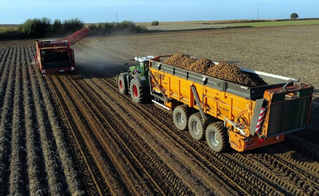 Nahrungspreise im Großhandel stark gestiegen