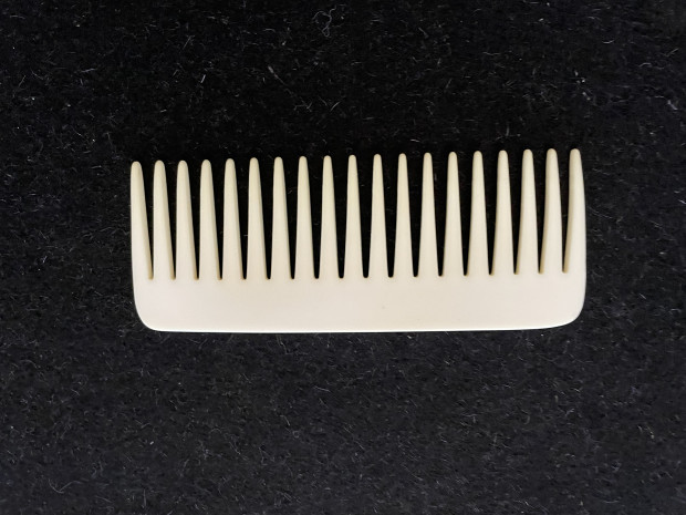 Ein Läusekamm schreibt Geschichte