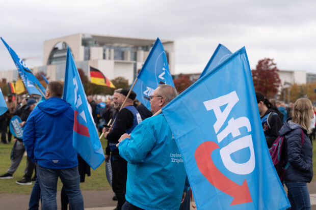 Die AfD steht am Scheideweg