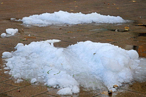 Der Mensch kann mit dem Klimawandel sinnvoll umgehen
