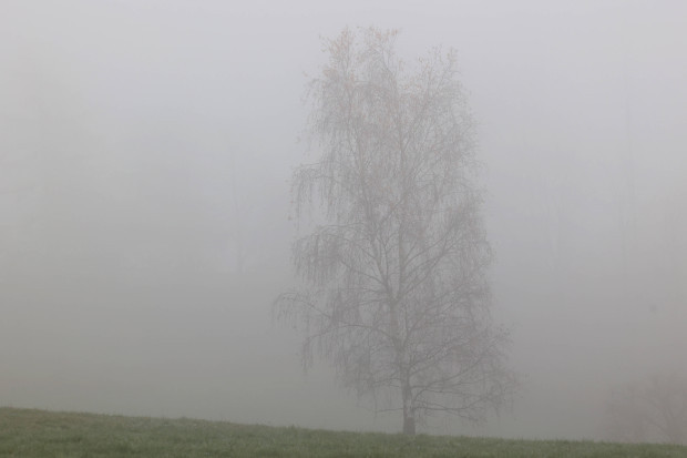 Ein Tag im November – woher der Strom kommt und wie viel CO2 emittiert wird