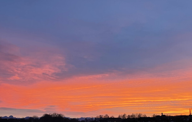 Klima- und Artenschutzkonferenzen, Umweltverschmutzung und Schrumpfen der Biodiversität