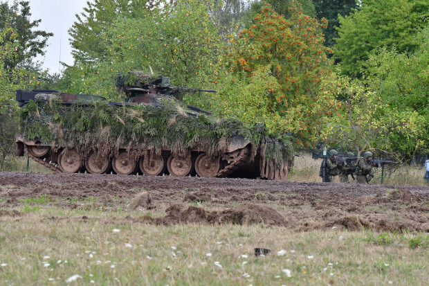 Angekündigtes Desaster: Der peinliche Puma und der uralte Marder