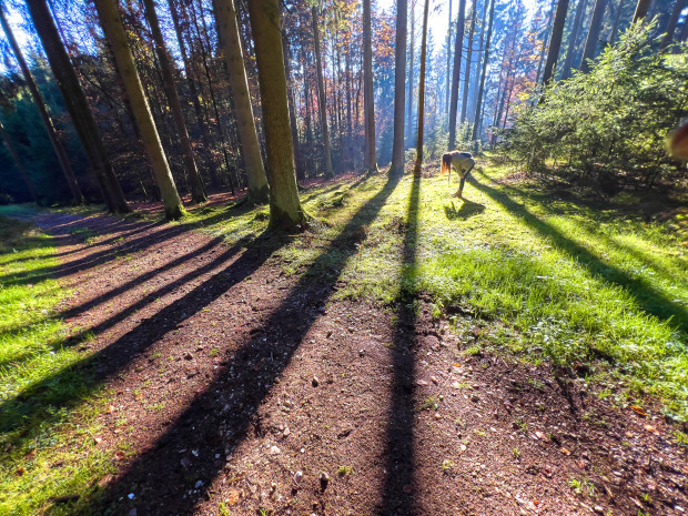 Leben in Zeiten von Angst und Desorientierung