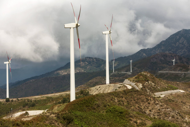 Matteo Denaros grüne Mafia