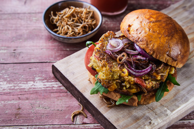 EU erlaubt Beimischung von Insekten in Lebensmittel