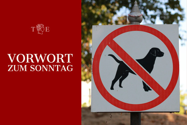 EKD beschließt Hundeverbot für kirchliche Mitarbeiter