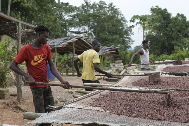 Das Lieferkettengesetz schafft nur Verlierer auf allen Seiten