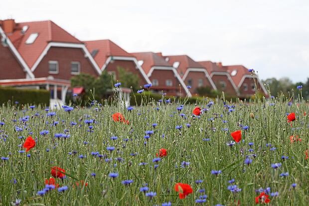 Kritiker warnen vor „Zwangssanierung“ von sechs Millionen Häusern wegen EU-Richtlinie