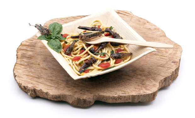 Italien wehrt sich gegen Insekten in der Pasta