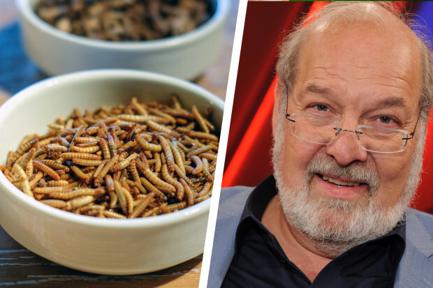 „Die EU will, dass wir Insekten essen“