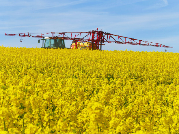 Glyphosat in Luxemburg wieder zugelassen
