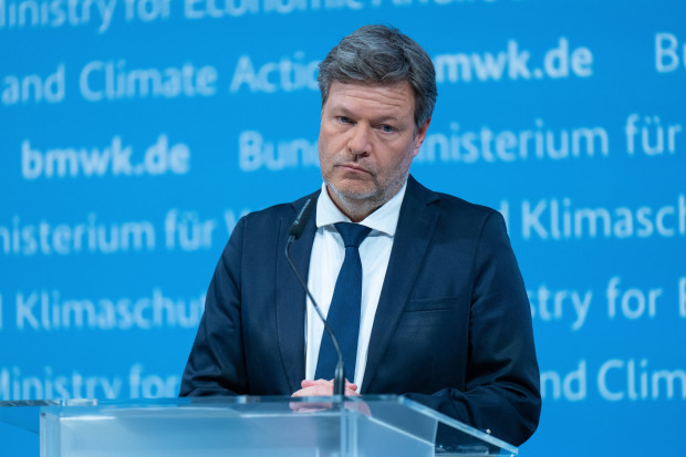 Der grüne Lack der Rotzeitlosen blättert ab