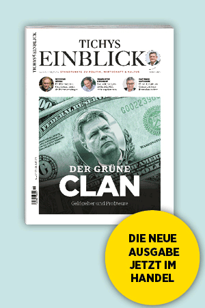 Einblick-Abo