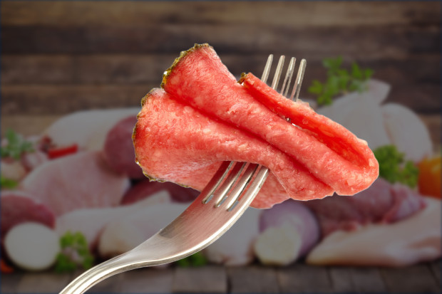 Nur noch EINE Scheibe Wurst pro Tag – dafür mehr Insekten: Der grüne Totalüberwachungsstaat droht