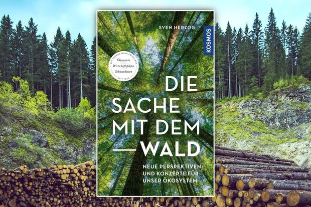 Die Sache mit dem Wald – Ökosystem, Wirtschaftsfaktor, Sehnsuchtsort